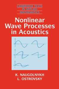 Nonlinear Wave Processes in Acoustics