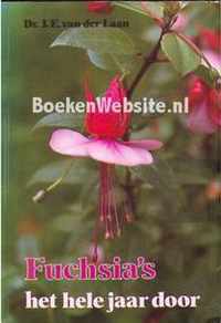 Fuchsia s het hele jaar door