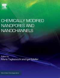 Chemically Modified Nanopores and Nanochannels