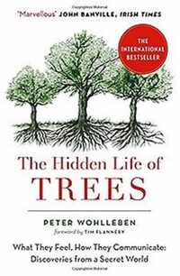 The Hidden Life of Trees