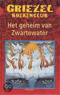 Het Geheim van Zwartewater