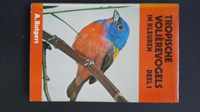 1 Tropische volierevogels in kleuren