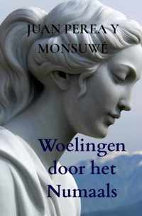 Woelingen door het Numaals - Juan Perea Y Monsuwé - Paperback (9789464357295)