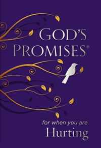 God's Promises for When You are Hurting