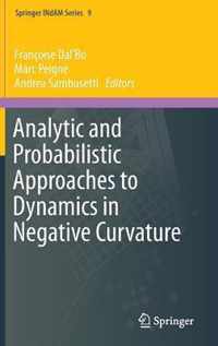 Analytic And Probabilistic Approaches To Dynamics In Negativ