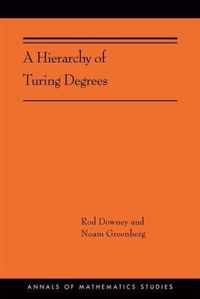 Hierarchy of Turing Degrees