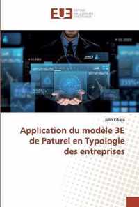 Application du modele 3E de Paturel en Typologie des entreprises