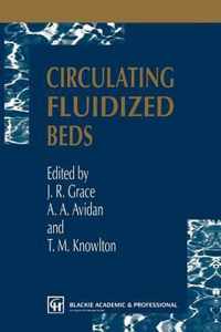 Circulating Fluidized Beds