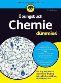 UEbungsbuch Chemie fur Dummies 3e