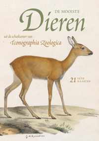 De mooiste dieren uit de schatkamer van Iconographia Zoologica