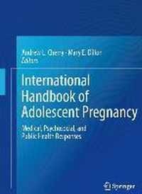 International Handbook of Adolescent Pregnancy