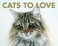 Cats to Love