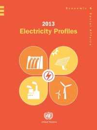 2013 electricity profiles