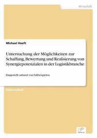 Untersuchung der Moeglichkeiten zur Schaffung, Bewertung und Realisierung von Synergiepotenzialen in der Logistikbranche