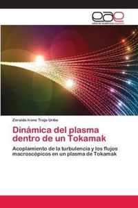 Dinamica del plasma dentro de un Tokamak
