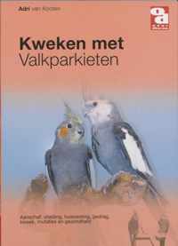 Kweken met valkparkieten