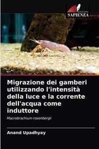 Migrazione dei gamberi utilizzando l'intensita della luce e la corrente dell'acqua come induttore