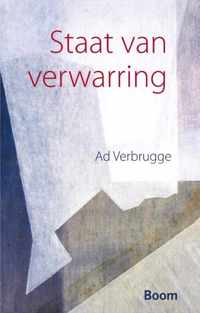 Staat van verwarring - Ad Verbrugge - Paperback (9789461057013)