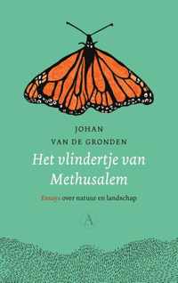 Het vlindertje van Methusalem