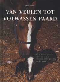 Van Veulen Tot Volwassen Paard