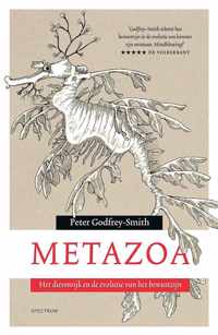 Metazoa