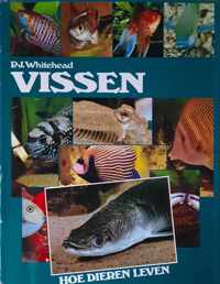 Vissen