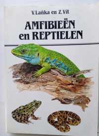 Amfibieen en reptielen