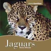 Dierenfamilies  -   Jaguars