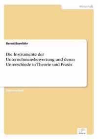 Die Instrumente der Unternehmensbewertung und deren Unterschiede in Theorie und Praxis