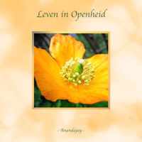 Leven in Openheid - Anandajay - Paperback (9789464186475)