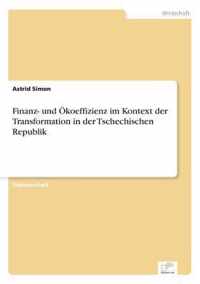 Finanz- und OEkoeffizienz im Kontext der Transformation in der Tschechischen Republik