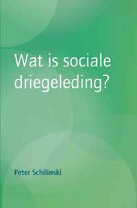 Wat is sociale driegeleding?