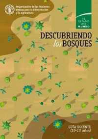 Descubriendo los bosques