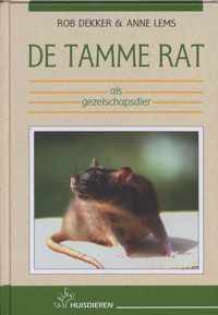 De tamme rat als gezelschapsdier