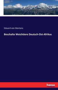 Beschalte Weichtiere Deutsch-Ost-Afrikas