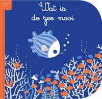 Wat is de zee mooi