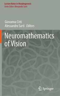 Neuromathematics of Vision