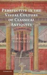 Perspective in the Visual Culture of Classical Antiquity