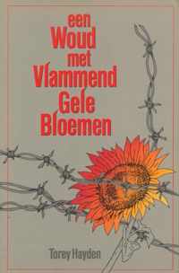 Woud met vlammend gele bloemen