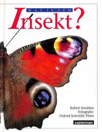 Wat is een insekt?