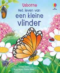 Een kleine vlinder