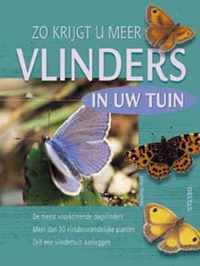 Vlinders In De Tuin