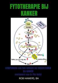 Fytotherapie bij Kanker