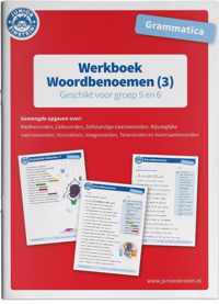 Werkboek Woordbenoemen Grammatica deel 3 Groep 5 en 6