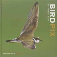 Birdpix / IV