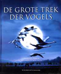 Grote Trek Der Vogels