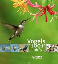 Vogels 1001 foto's