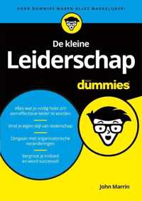 De kleine leiderschap voor dummies