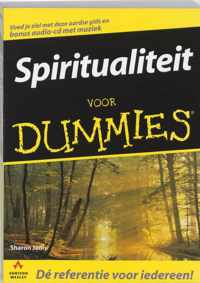Voor Dummies - Spiritualiteit voor Dummies