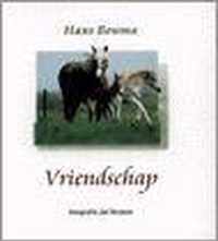 Vriendschap